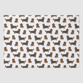 Papel De Seda Dachshund de cabello largo