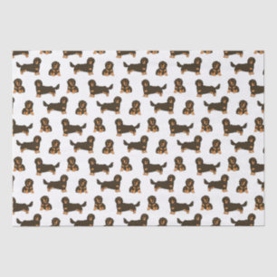 Papel De Seda Dachshund de cabello largo