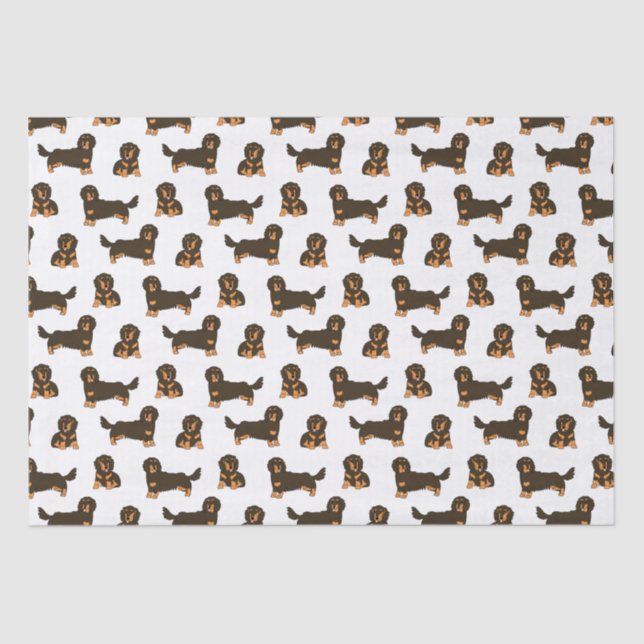 Papel De Seda Dachshund de cabello largo (Anverso)