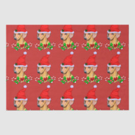 Papel De Seda Dachshund en Navidades de Santa Hat