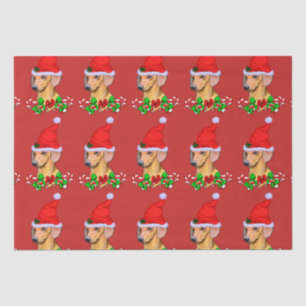 Papel De Seda Dachshund en Navidades de Santa Hat