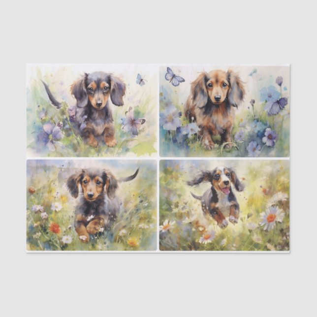 Papel De Seda Dachshunds (Anverso)
