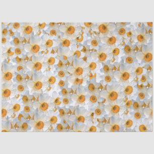 Papel De Seda Daffodil fresco