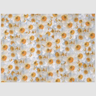 Papel De Seda Daffodil fresco