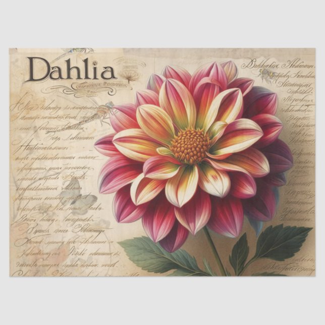 Papel De Seda Dahlia (Anverso)