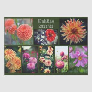 Papel De Seda Dahlia Flores Ocho foto collage personal