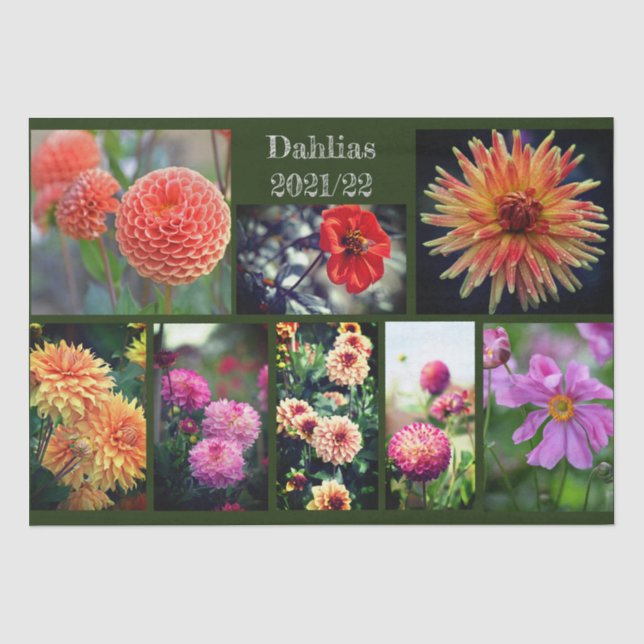 Papel De Seda Dahlia Flores Ocho foto collage personal (Anverso)