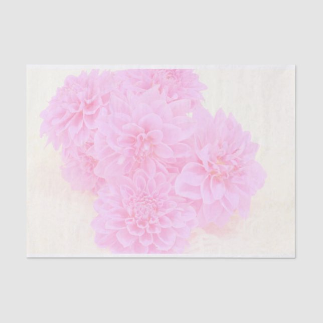 Papel De Seda Dahlias En Rosa Suave (Anverso)