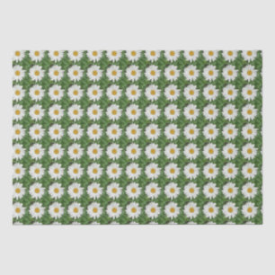 Papel De Seda Daisy blanco
