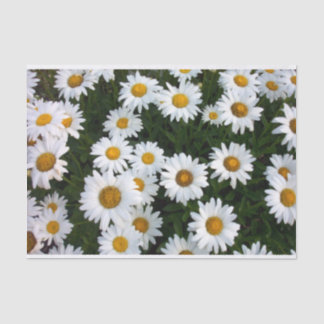 Papel De Seda Daisy Delight Tissue Paper