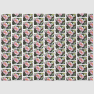 Papel De Seda Daisy en rosa