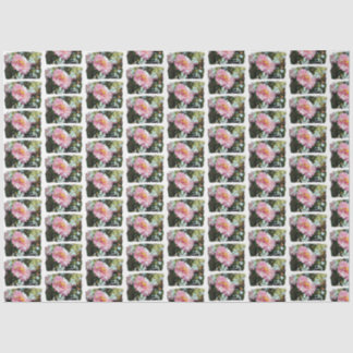 Papel De Seda Daisy en rosa