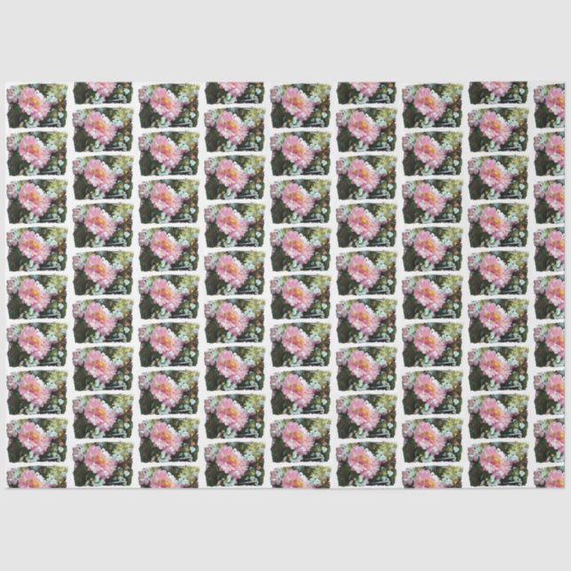 Papel De Seda Daisy en rosa (Anverso)