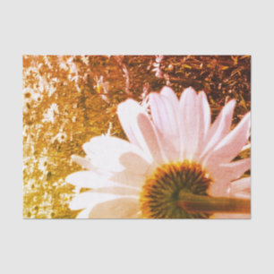Papel De Seda Daisy Fields Tissue Paper