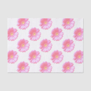 Papel De Seda Daisy gerbera rosa claro