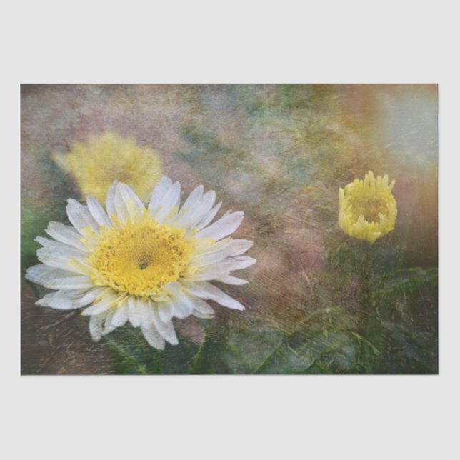 Papel De Seda Daisy suave y soñador (Anverso)