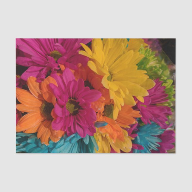 Papel De Seda Daisy Tissue Paper (Anverso)