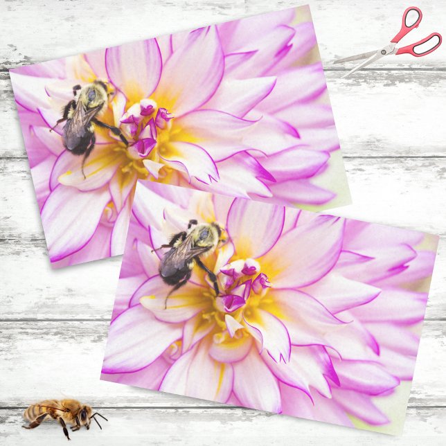 Papel De Seda Dalia Blanca y Rosa con Abejorro (Subido por el creador)