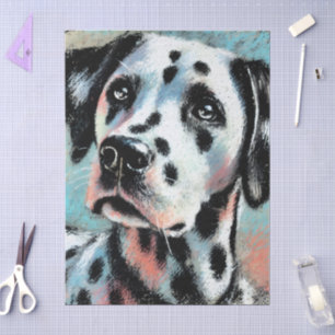 Papel De Seda Dalmatia Chalk Pastel Perro Negro Desnudo Blanco