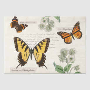 Papel De Seda Dama pintada de Monarca Trasera de Mariposa Vintag