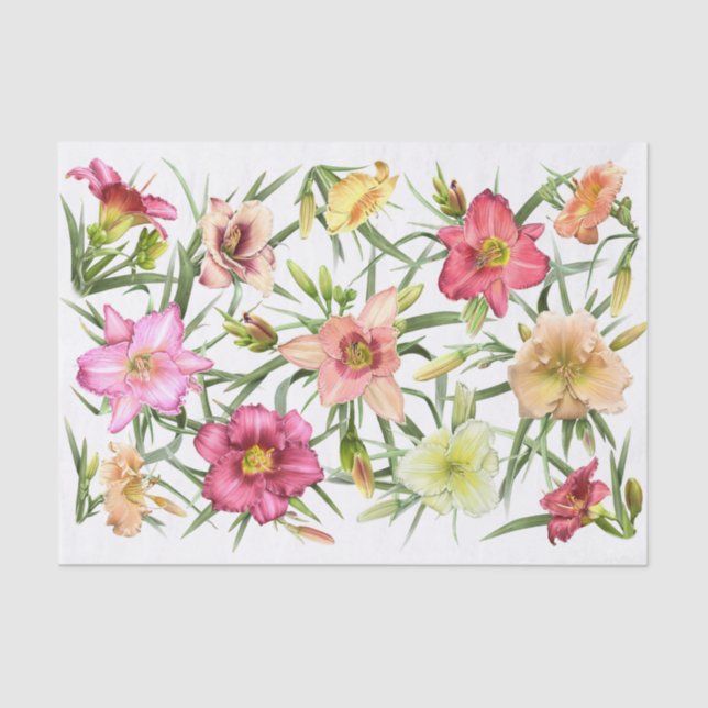 Papel De Seda Daylilies por todas partes (Anverso)