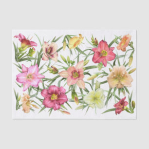 Papel De Seda Daylilies por todas partes