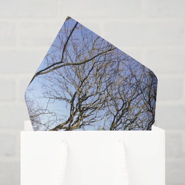 Papel de seda de árbol y cielo (Bolsa de regalo)