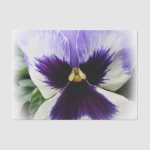 Papel De Seda de color morado oscuro en el pensamiento blanco