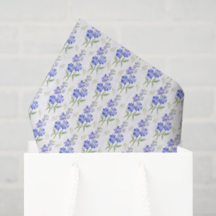 Papel de seda de espuela de caballero
