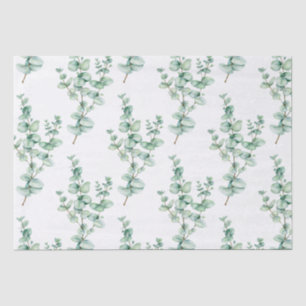 Papel de seda de eucalipto