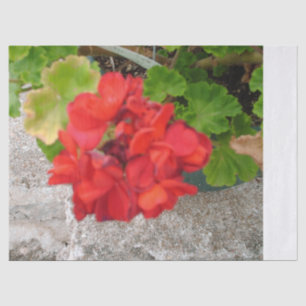 papel de seda de flor roja