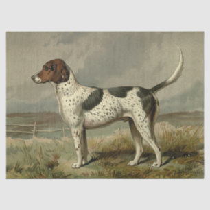 Papel de seda de Foxhound antiguo