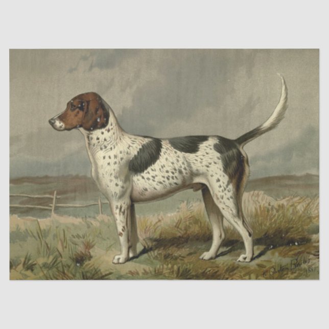 Papel de seda de Foxhound antiguo (Anverso)