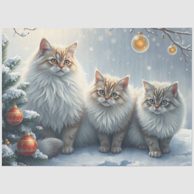 Papel de seda de gatos de Navidad esponjosos (Anverso)