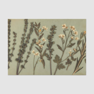 Papel de seda de hierbas rústicas y flores silvest