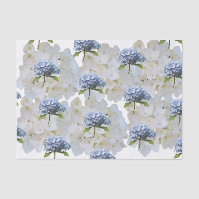 Papel de seda de hortensias azul polvoriento (Anverso)