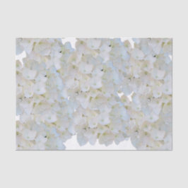 Papel de seda de Hortensias Blancas
