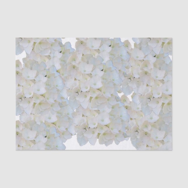 Papel de seda de Hortensias Blancas (Anverso)