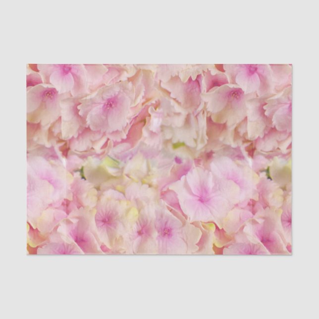 Papel de seda de Hortensias Rosa Pastel (Anverso)