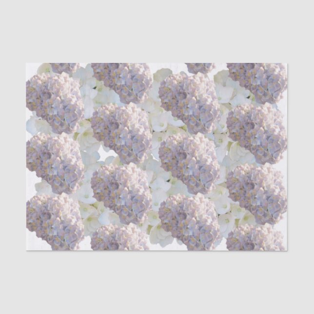 Papel de seda de hortensias rosadas y blancas (Anverso)