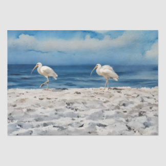 Papel de seda de pájaros de playa 14 x 20 10lb