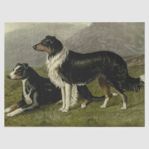 Papel de seda de perros pastores vintage