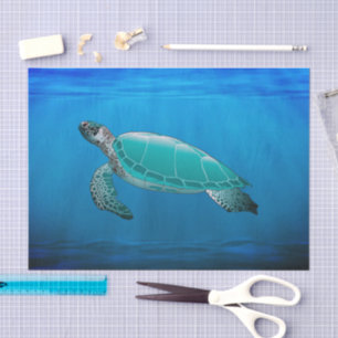 Papel de seda de tortuga