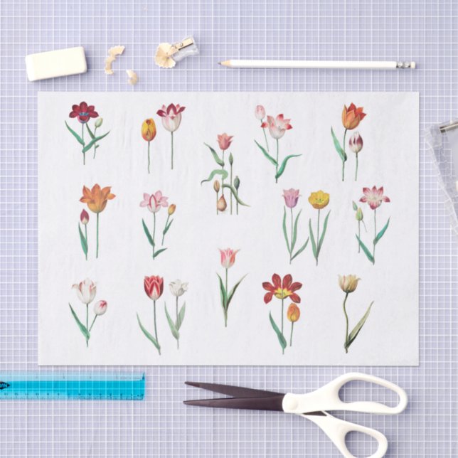 Papel de seda de tulipanes (Artesanía)