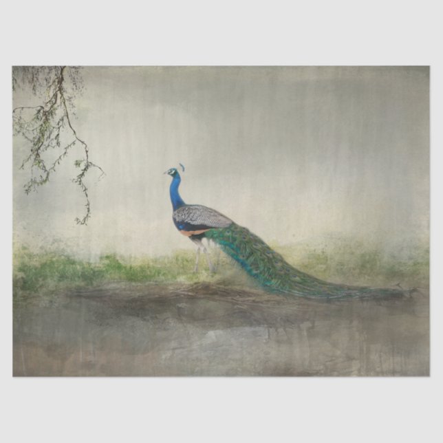 Papel De Seda De Una Vez A La Hora (Anverso)