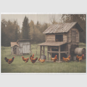 Papel De Seda Decodificación rústica de pollo de 18 libras