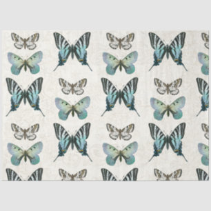 Papel De Seda Decoración azul y blanco de mariposa botánica