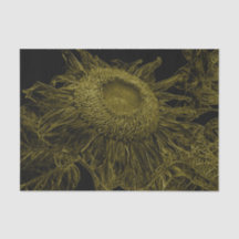 Decoración de arte floral amarillo amarillo girato