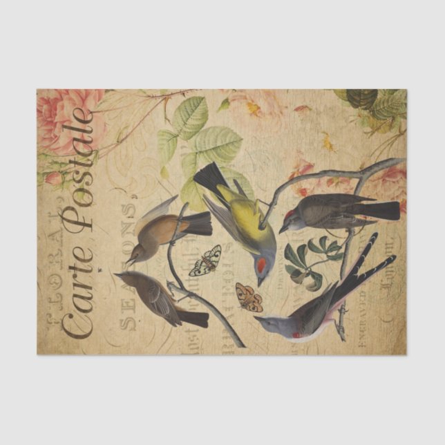 Papel De Seda Decoración de aves de la postales francesa Ephemer (Anverso)