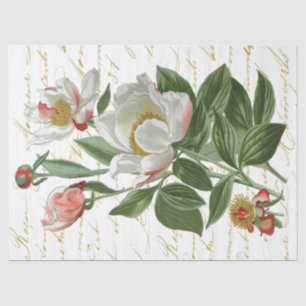 Papel De Seda Decoración de color de las flores peony con guione